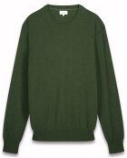 Pull en Laine & Cachemire Équipe forêt