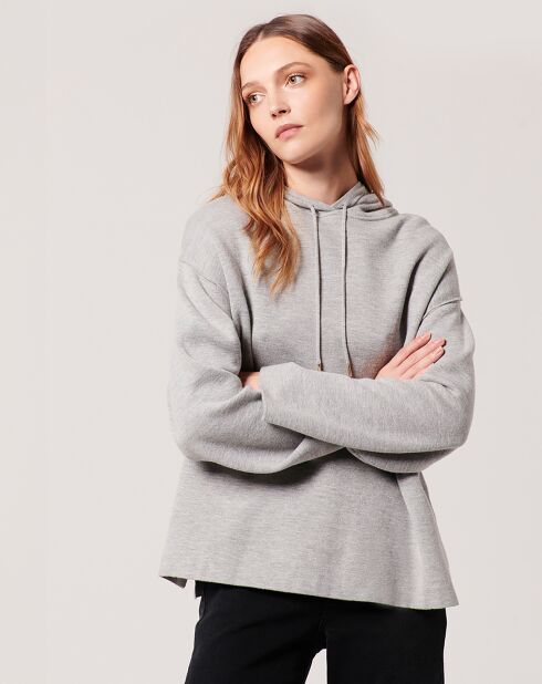 Pull à capuche Pins gris chiné