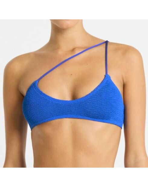Bas de maillot de bain Palmer bleu