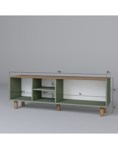 Meuble TV Bohemian vert - 160x56x40 cm