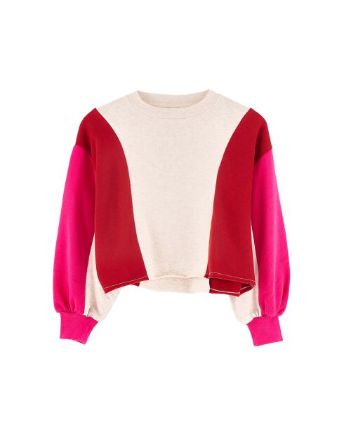 Sweat Faroek sugarcane