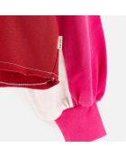 Sweat Faroek sugarcane