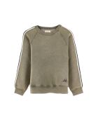 Sweat Fagoso moss
