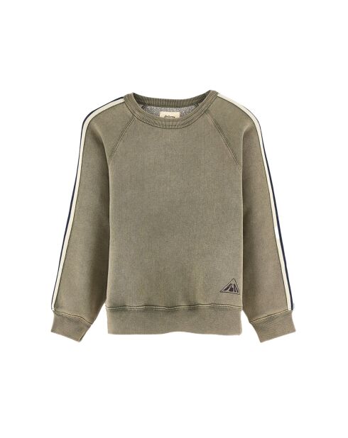 Sweat Fagoso moss