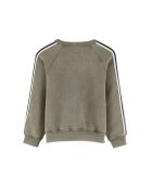 Sweat Fagoso moss