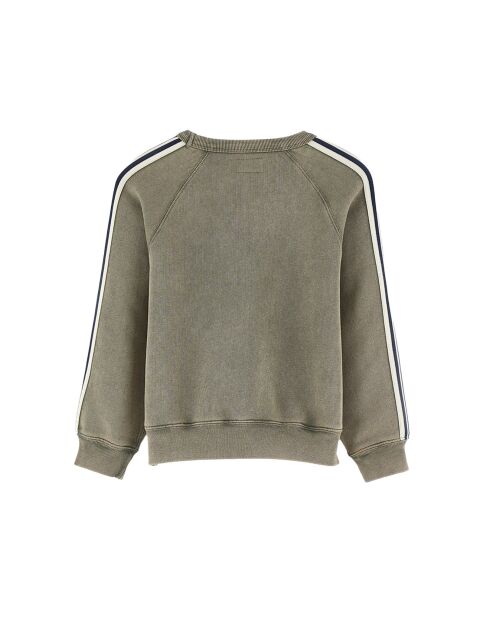 Sweat Fagoso moss