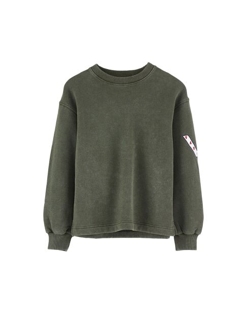 Sweat Chamo moss