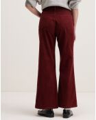 Pantalon flared en Velours côtelé Park grenat