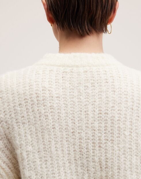 Pull en Laine mélangée Adyka whisper
