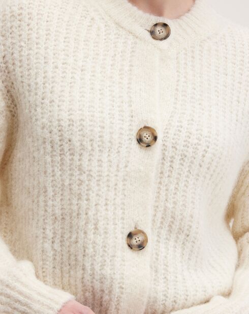 Pull en Laine mélangée Adyka whisper