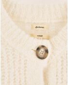 Pull en Laine mélangée Adyka whisper