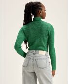 Pull Anoit chlorophile