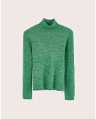Pull Anoit chlorophile