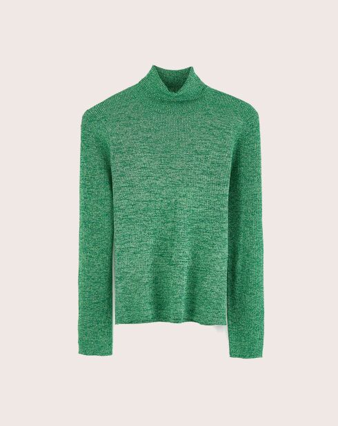 Pull Anoit chlorophile