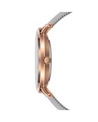 Montre Femme Classique en Acier argentée