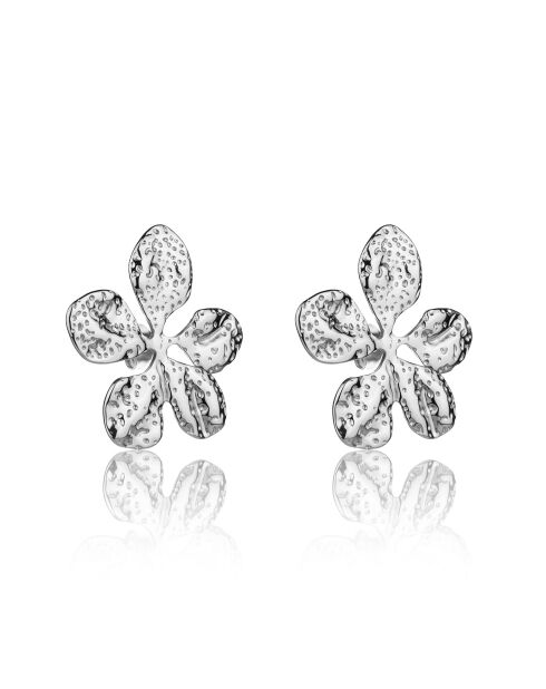Boucles d'oreilles Zavira argentées