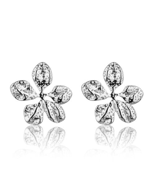 Boucles d'oreilles Zavira argentées