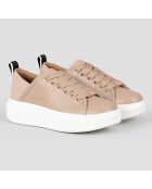 Baskets Wembley camel