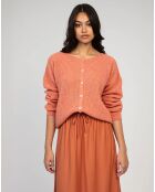 Cardigan Laramim rose