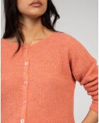 Cardigan Laramim rose