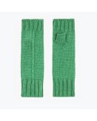 Mitaines Frosty sauge