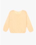Pull Labonita poussin