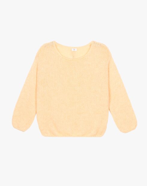 Pull Labonita poussin