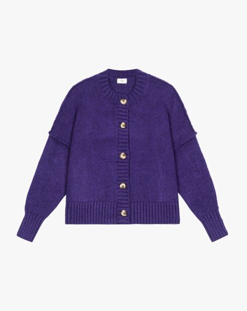Pull Lenewi violet