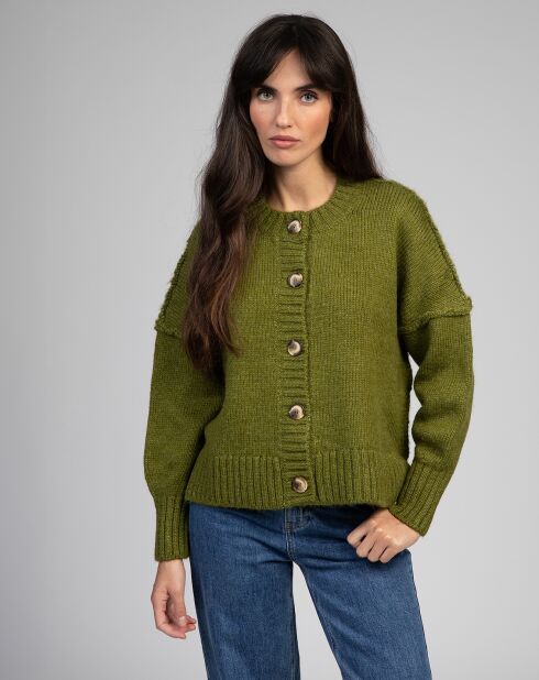 Pull Lenewi olive