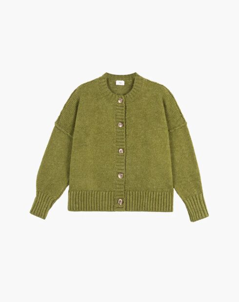 Pull Lenewi olive