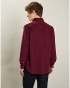 Chemise en Velours Milleraies regular Paul Pat rouge harvard