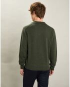 Pull Polo en Laine & Cachemire forêt