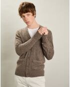 Cardigan 100% Laine Sans Couture champignon