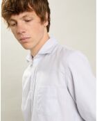 Chemise regular Paul grise