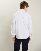 Chemise regular Paul grise
