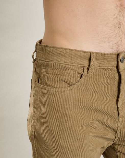Pantalon en Velours côtelé Tim griller