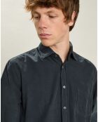Chemise regular en Velours Milleraies Paul Pat carbone