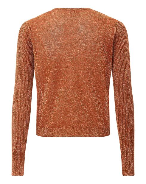 Pull Coraline terre de soleil