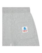 Short en Coton Bio Andy gris