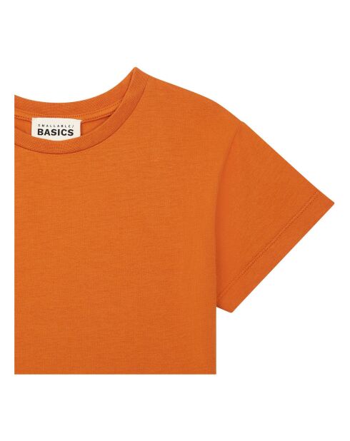 T-Shirt en Coton Bio Whitney sienne