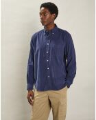 Chemise regular en Velours Milleraies Pitt Pat bleu profond