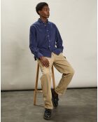 Chemise regular en Velours Milleraies Pitt Pat bleu profond