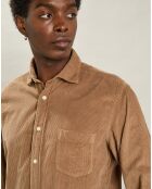 Chemise regular en Velours côtelé Paul Pat biscuit