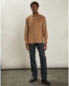 Chemise regular en Velours côtelé Paul Pat biscuit