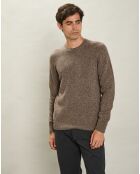 Pull 100% Laine Équipage Sans Couture champignon
