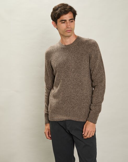 Pull 100% Laine Équipage Sans Couture champignon