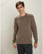 Pull 100% Laine Équipage Sans Couture champignon
