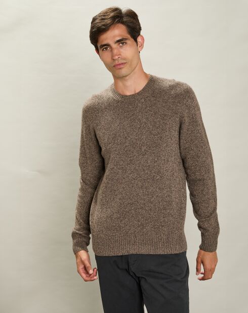 Pull 100% Laine Équipage Sans Couture champignon