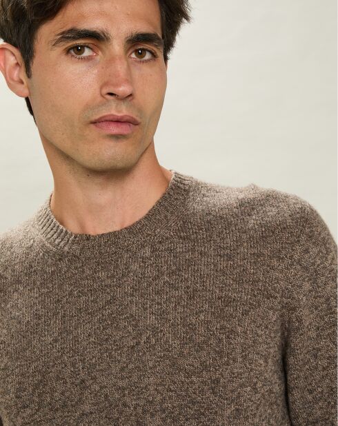 Pull 100% Laine Équipage Sans Couture champignon