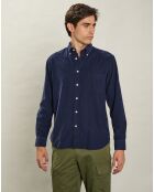 Chemise regular en Velours Milleraies Pitt Pat bleu foncé